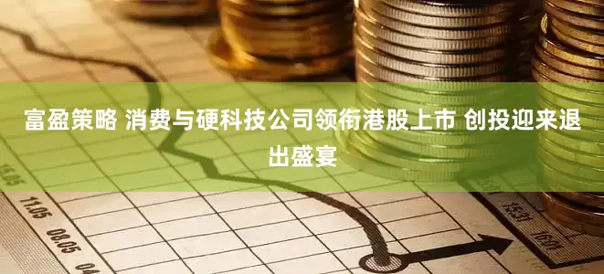 富盈策略 消费与硬科技公司领衔港股上市 创投迎来退出盛宴