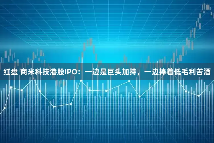 红盘 商米科技港股IPO：一边是巨头加持，一边捧着低毛利苦酒