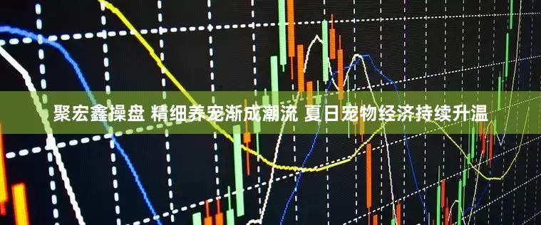 聚宏鑫操盘 精细养宠渐成潮流 夏日宠物经济持续升温