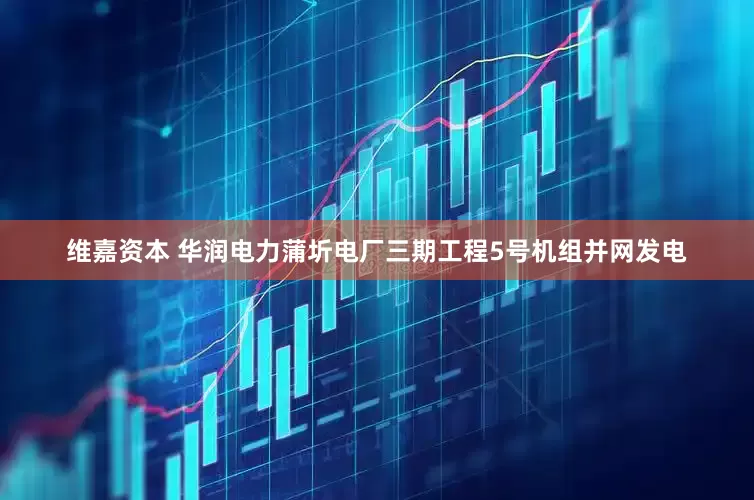 维嘉资本 华润电力蒲圻电厂三期工程5号机组并网发电