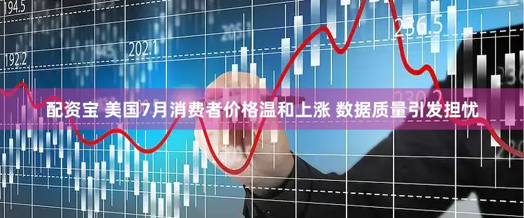 配资宝 美国7月消费者价格温和上涨 数据质量引发担忧