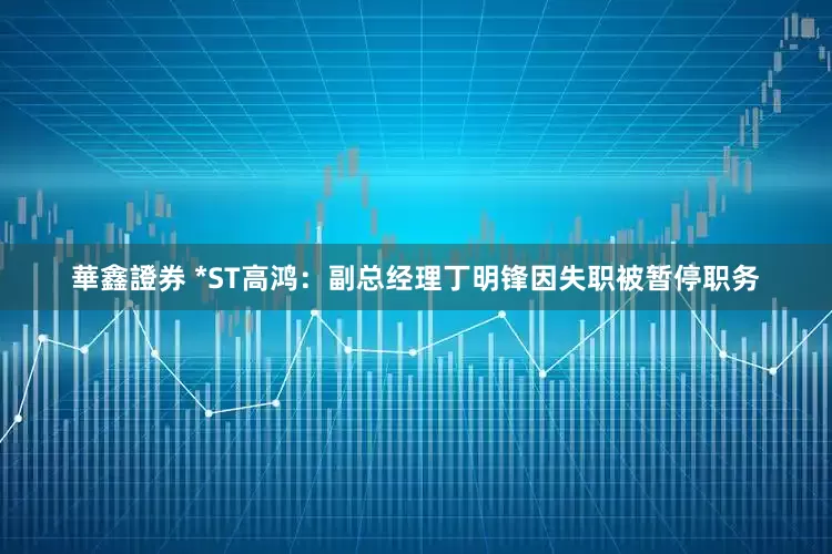 華鑫證券 *ST高鸿：副总经理丁明锋因失职被暂停职务