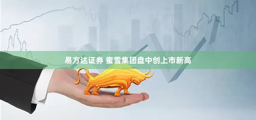 易方达证券 蜜雪集团盘中创上市新高